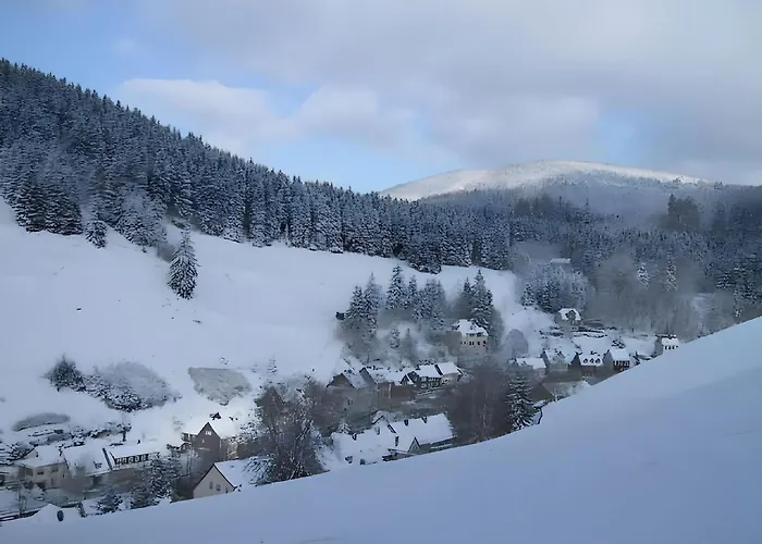 In Διαμέρισμα