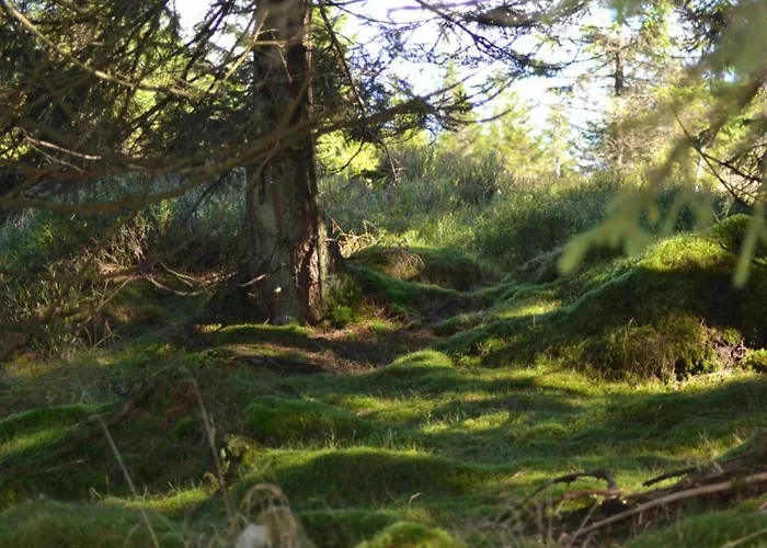 In Διαμέρισμα *