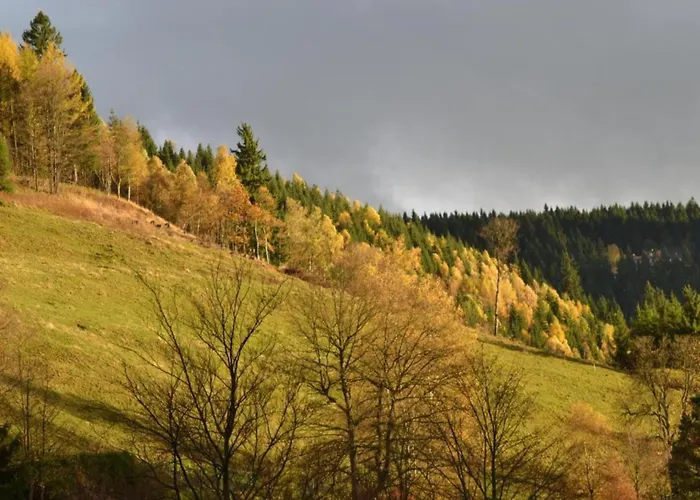 In Διαμέρισμα *