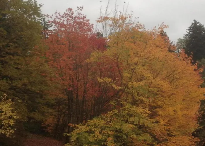 Διαμέρισμα In